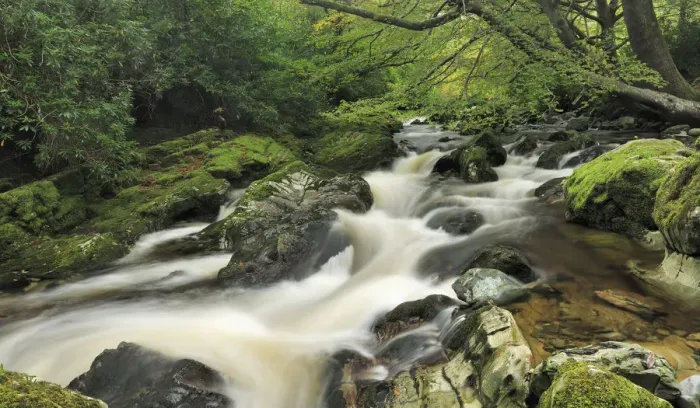 Framed Print : River Shimna, Tollymore Forest Park, Newcastle County Down, Ireland, October 2012 Framed Print : River Shimna, Tollymore Forest Park, Newcastle County Down, Ireland, October 2012