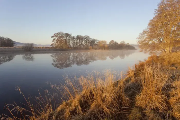 Framed Print : River Spey at dawn in spring, Cairngorms National Park, Scotland, March 2012 Framed Print : River Spey at dawn in spring, Cairngorms National Park, Scotland, March 2012