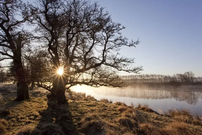 Framed Print : River Spey in spring, sun rising behind trres, Cairngorms National Park, Scotland Framed Print : River Spey in spring, sun rising behind trres, Cairngorms National Park, Scotland