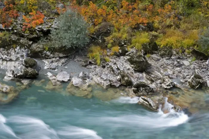 Framed Print : River Tara with autumnal vegetation on bank, Durmitor NP, Montenegro, October 2008 Framed Print : River Tara with autumnal vegetation on bank, Durmitor NP, Montenegro, October 2008