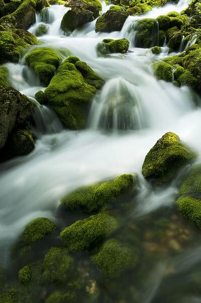 River Zadnjica cascading over moss covered stones, Triglav National Park, Slovenia