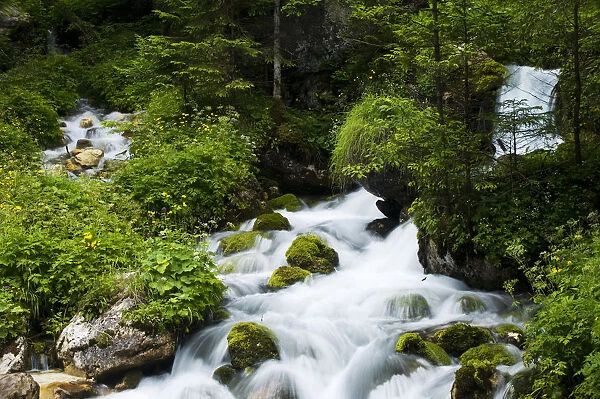 River Zadnjica, cascading past moss covered stones, Triglav National Park, Slovenia