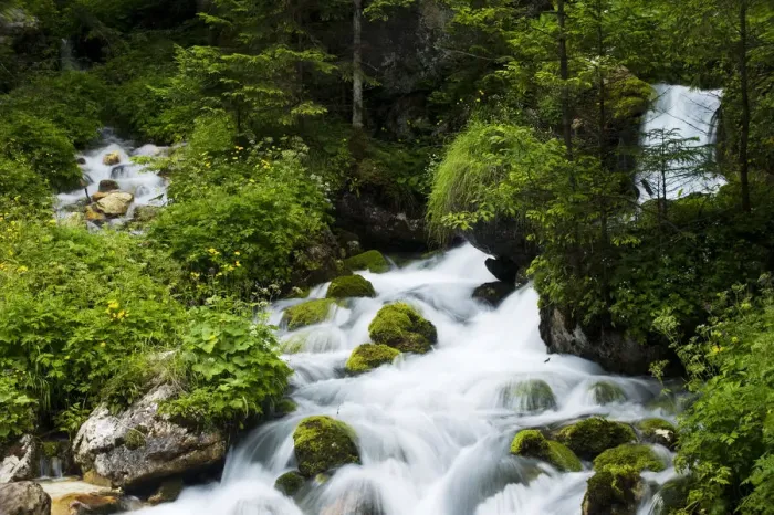 Framed Print : River Zadnjica, cascading past moss covered stones, Triglav National Park, Slovenia Framed Print : River Zadnjica, cascading past moss covered stones, Triglav National Park, Slovenia