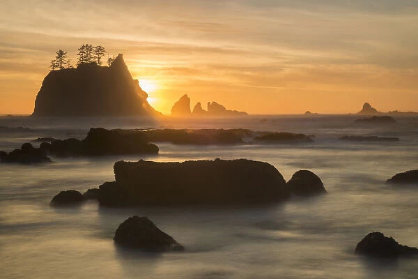 Rock formations silhouetted at sunset on the Pacfic coast of Olympic National Park