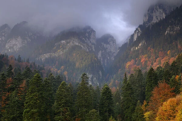Rock of the King, Piatra Craiului National Park, Transylvania, Southern Carpathian Mountains