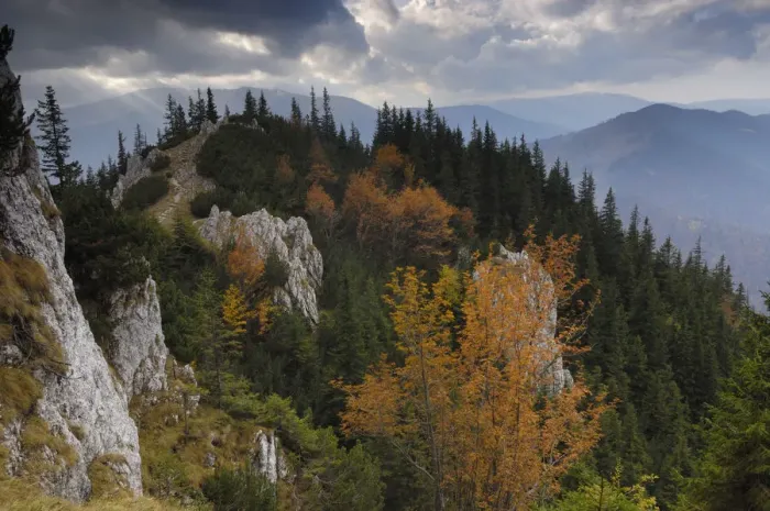 Framed Print : Rocky limestone area La Zaplaz, Piatra Craiului National Park, Transylvania Framed Print : Rocky limestone area La Zaplaz, Piatra Craiului National Park, Transylvania