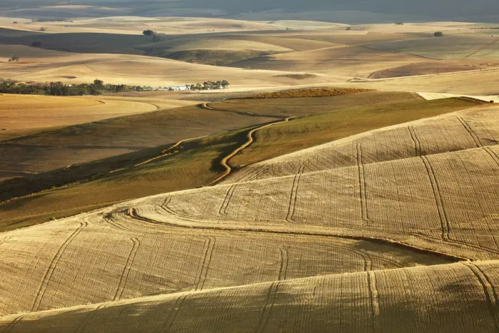 Framed Print : Rolling farmland in the Overberg region near Villiersdorp, Western Cape, South Africa Framed Print : Rolling farmland in the Overberg region near Villiersdorp, Western Cape, South Africa