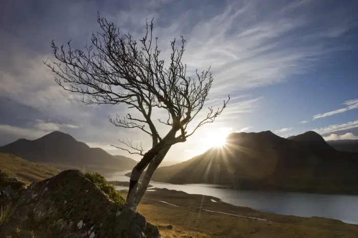 Framed Print : Rowan tree silhouetted above Loch Lurgainn with Cul Mor (left) and Ben More Coigach beyond Framed Print : Rowan tree silhouetted above Loch Lurgainn with Cul Mor (left) and Ben More Coigach beyond