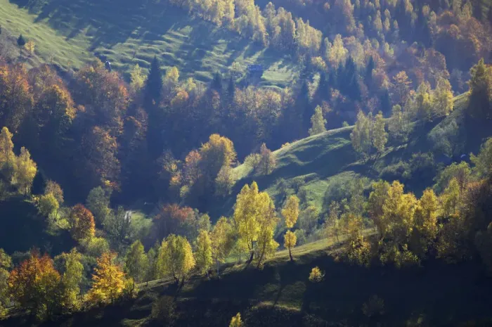Framed Print : Rural landscape in autumn, Piatra Craiului National Park, Transylvania, Southern Framed Print : Rural landscape in autumn, Piatra Craiului National Park, Transylvania, Southern