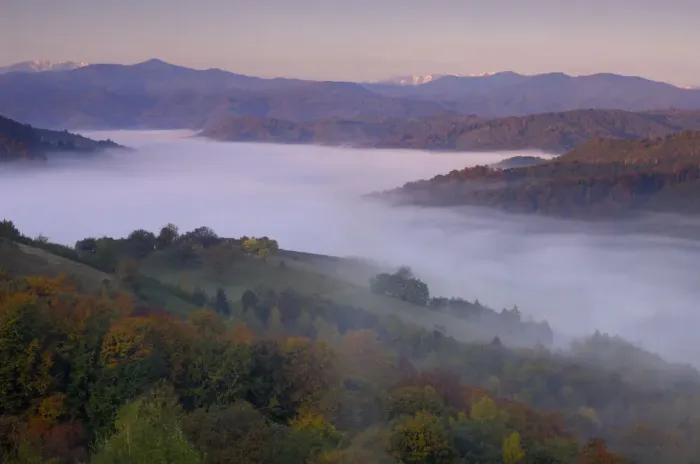 Framed Print : Rural landscape at dawn with low lying mist in valley, near Zarnesti, Transylvania Framed Print : Rural landscape at dawn with low lying mist in valley, near Zarnesti, Transylvania