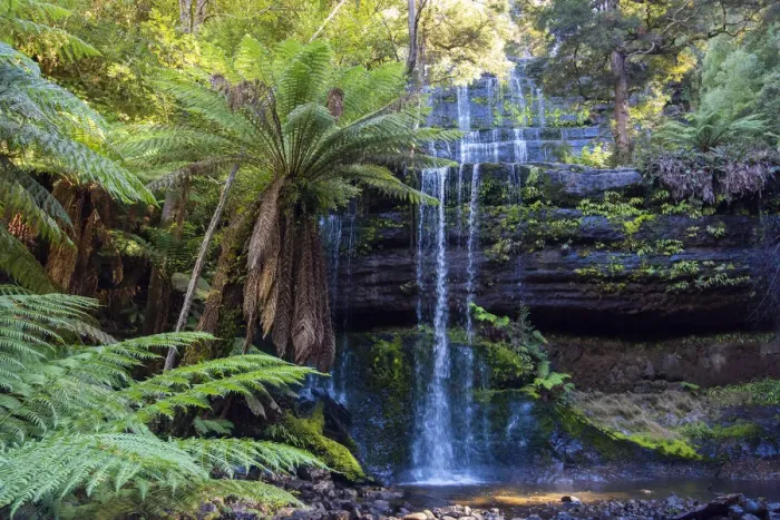 Framed Print : Russel Falls, Mt Field National Park, Tasmania, Australia. April, 2016 Framed Print : Russel Falls, Mt Field National Park, Tasmania, Australia. April, 2016