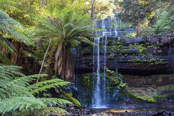 Russel Falls, Mt Field National Park, Tasmania, Australia. April, 2016