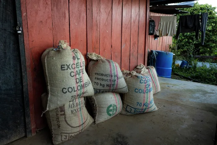 Framed Print : Sacks of coffee harvested in Finca Bellavista. The families working in the reforestation project earn their livelihood mainly from coffee trade Framed Print : Sacks of coffee harvested in Finca Bellavista. The families working in the reforestation project earn their livelihood mainly from coffee trade
