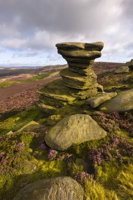 Framed Print : The Salt Cellar, a famous gritstone outcrop surrounded by flowering heather. Derwent Edge Framed Print : The Salt Cellar, a famous gritstone outcrop surrounded by flowering heather. Derwent Edge