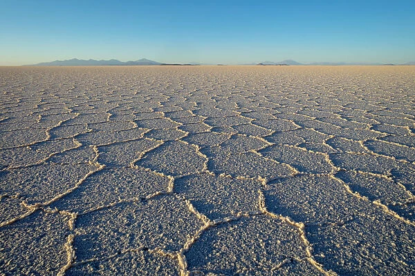 Salt formations on surface of Salar de Uyuni Salt Pan. Bolivia, December