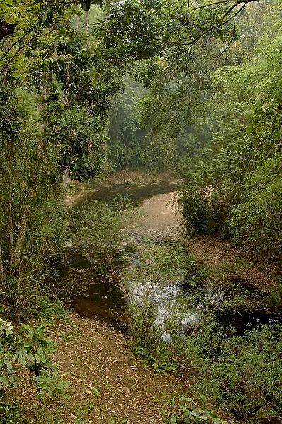 Sancha River flowing through tropical rainforest in dry season. Wild Elephant Valley