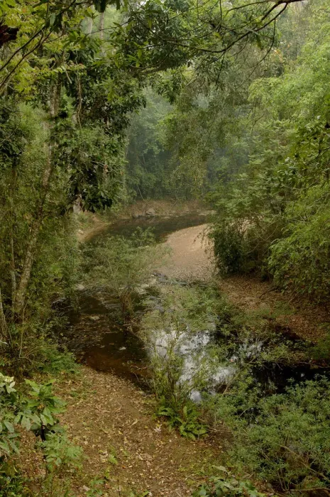 Framed Print : Sancha River flowing through tropical rainforest in dry season. Wild Elephant Valley Framed Print : Sancha River flowing through tropical rainforest in dry season. Wild Elephant Valley