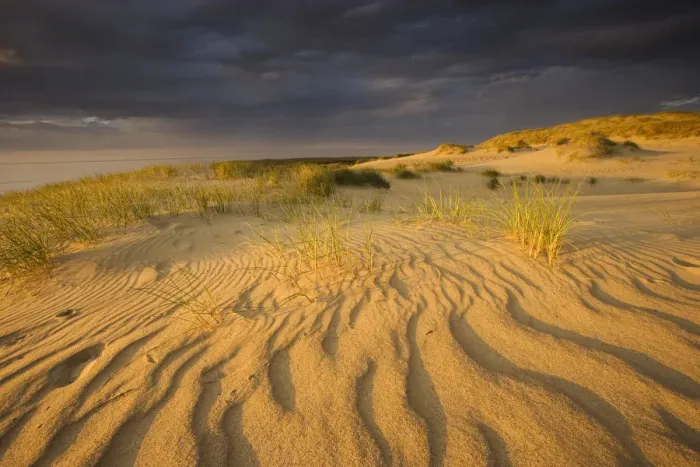Framed Print : Sand dunes on Agilos Kopa, Nagliai Nature Reserve, Curonian Spit, Lithuania, June 2009