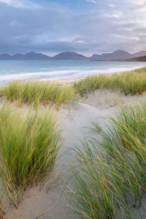 Framed Print : Sand dunes, marram grass (Ammophila arenaria) and beach at sunrise, Luskentyre, Isle of Harris, Scotland, UK. October 2018 Framed Print : Sand dunes, marram grass (Ammophila arenaria) and beach at sunrise, Luskentyre, Isle of Harris, Scotland, UK. October 2018