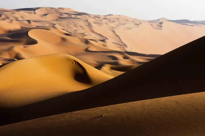 Framed Print : Sand dunes in Rub Al Khali Empty Quarter desert, Liwa, Abu Dhabi, UAE. February, 2014 Framed Print : Sand dunes in Rub Al Khali Empty Quarter desert, Liwa, Abu Dhabi, UAE. February, 2014