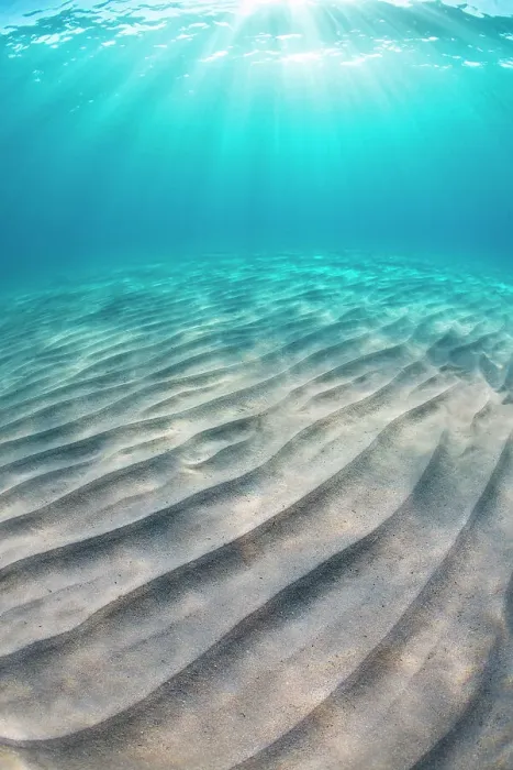 Framed Print : Sand ripples on seabed and sun burst in shallow, clear water. Capo Comino, Sardinia, Mediterranean Sea Framed Print : Sand ripples on seabed and sun burst in shallow, clear water. Capo Comino, Sardinia, Mediterranean Sea