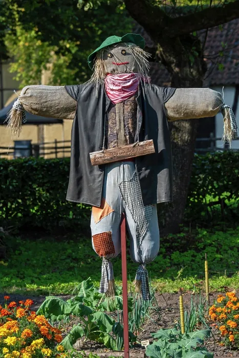 Framed Print : Scarecrow / bird scarer dressed in old clothes and placed in vegetable garden to deter birds from feeding on the vegetables Framed Print : Scarecrow / bird scarer dressed in old clothes and placed in vegetable garden to deter birds from feeding on the vegetables