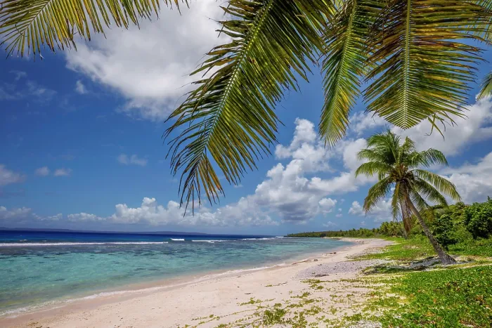 Framed Print : Scenic coastal view with palm trees at Obyan Beach, Saipan, Northern Mariana Islands. The island of Tinian can be seen on the horizon. May, 2024 Framed Print : Scenic coastal view with palm trees at Obyan Beach, Saipan, Northern Mariana Islands. The island of Tinian can be seen on the horizon. May, 2024