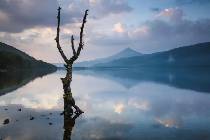 Framed Print : Schiehallion reflected in Loch Rannoch at dawn, Perthshire, Scotland, UK May 2017 Framed Print : Schiehallion reflected in Loch Rannoch at dawn, Perthshire, Scotland, UK May 2017