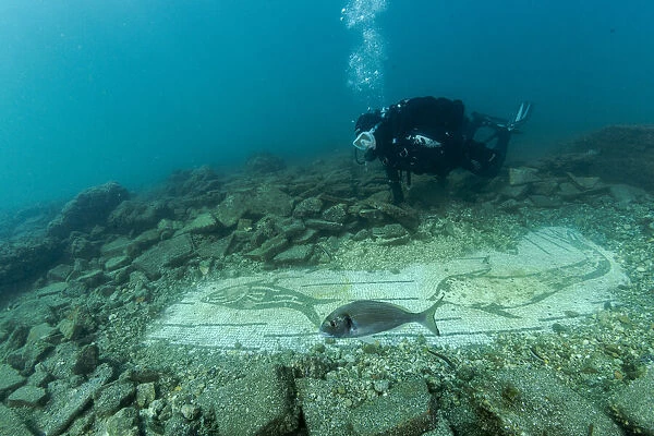 Scuba diver exploring ancient Roman mosaic from the third century AD, with maritime theme, made with black and white tessellatum tiles depicting seabed with dolphins, sea urchins, moray eels and other fish, in thermal complex of Lacus Baianus