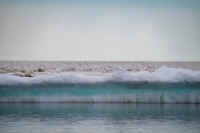 Framed Print : Sea ice breaking up and melting in spring, Hudson Bay near Churchill, Manitoba, Canada. June, 2024 Framed Print : Sea ice breaking up and melting in spring, Hudson Bay near Churchill, Manitoba, Canada. June, 2024