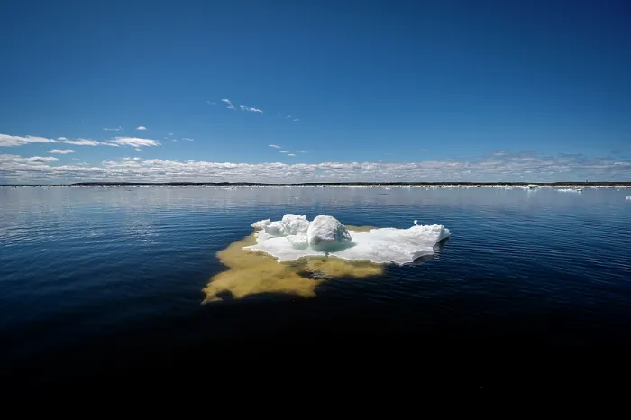 Framed Print : Sea ice breaking up and melting in spring, Hudson Bay near Churchill, Manitoba, Canada. June, 2024 Framed Print : Sea ice breaking up and melting in spring, Hudson Bay near Churchill, Manitoba, Canada. June, 2024