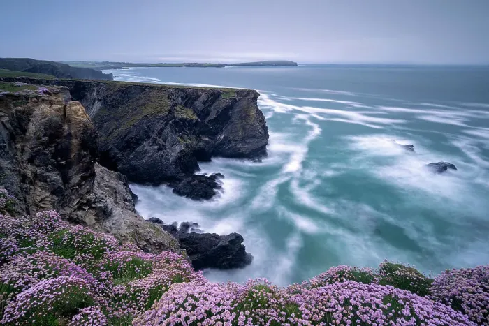 Framed Print : Sea pink (Armeria maritima) on cliffs at Longcarrow Cove, view along coastline towards Trevose Head. Near Trevone, Cornwall, England, UK. May 2020 Framed Print : Sea pink (Armeria maritima) on cliffs at Longcarrow Cove, view along coastline towards Trevose Head. Near Trevone, Cornwall, England, UK. May 2020
