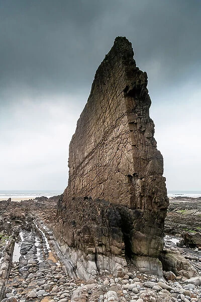 Sea stack of vertically bedded, Carboniferous age, Bude sandstone. This bed or horizon is more resistant to erosion than the surrounding layers and remains standing, but will eventually fall, Bude, Cornwall, UK. January, 2022