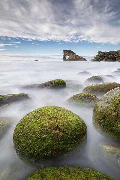 Seaweed covered rocks with Gaada Stack in background, Foula, Shetland, Scotland, UK