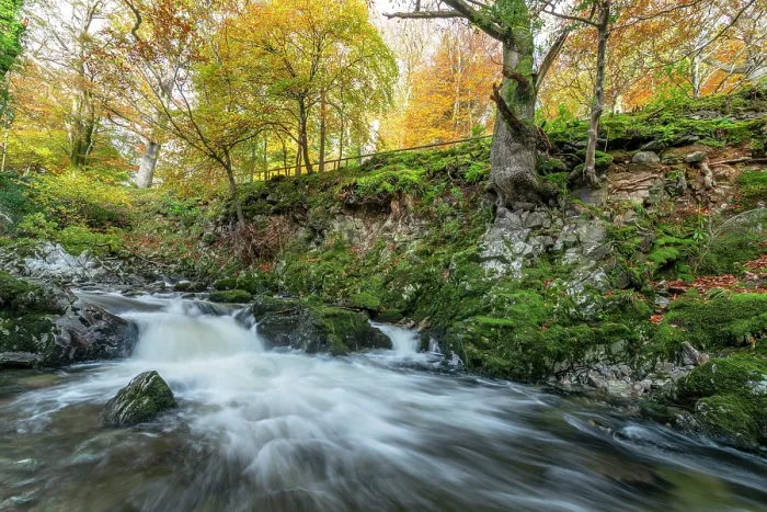 Framed Print : Shimna River Tollymore Forest, Shimna River Tollymore Forest Newcastle Framed Print : Shimna River Tollymore Forest, Shimna River Tollymore Forest Newcastle