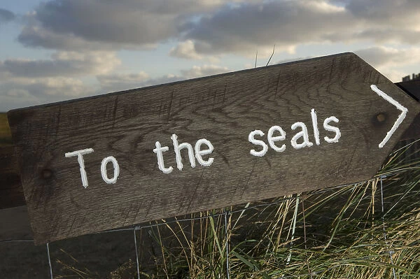Sign pointing the way to Grey seals (Halichoerus grypus) Donna Nook, Lincolnshire