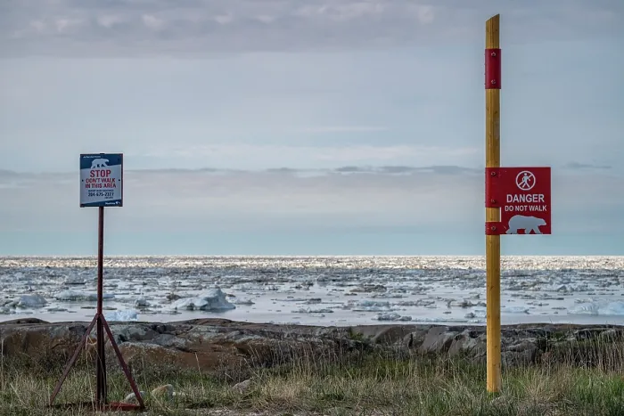 Framed Print : Signs posts warning tourists of polar bears near the seafront, Churchill, Manitoba, Canada. June, 2024 Framed Print : Signs posts warning tourists of polar bears near the seafront, Churchill, Manitoba, Canada. June, 2024