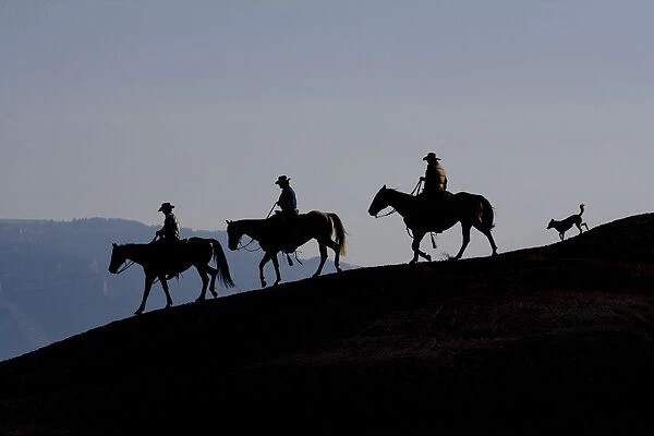 Silhouette of three cowboys and a dog riding down a ridge, Flitner Ranch, Shell, Wyoming
