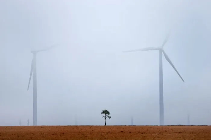 Framed Print : Single almond tree (Amygdalus communis), with wind turbines in background Framed Print : Single almond tree (Amygdalus communis), with wind turbines in background