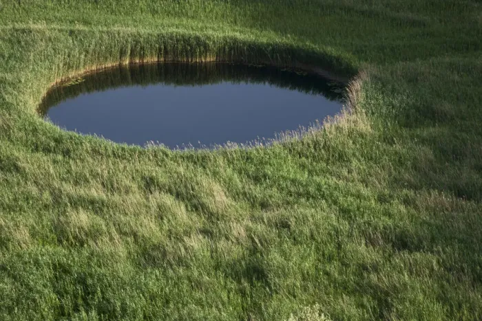Framed Print : Sinkhole in marshland covered in Reeds (Phragmites sp) near the lower Neretva river delta Framed Print : Sinkhole in marshland covered in Reeds (Phragmites sp) near the lower Neretva river delta