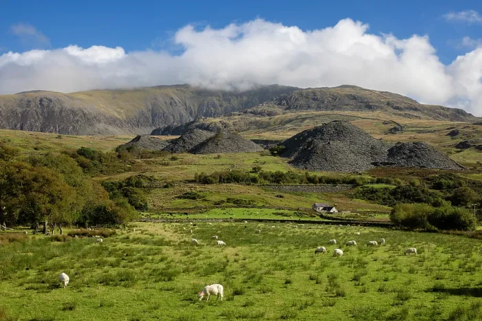 Framed Print : Slate spoil heaps near Nantlle, UNESCO World Heritage Site, Snowdonia / Eryri National Park, Nantlle, Caernarfon, Wales, UK. October, 2022 Framed Print : Slate spoil heaps near Nantlle, UNESCO World Heritage Site, Snowdonia / Eryri National Park, Nantlle, Caernarfon, Wales, UK. October, 2022