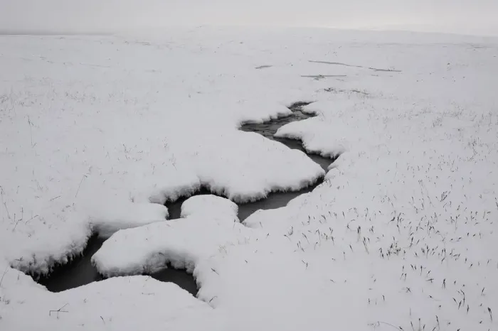 Framed Print : Small stream flowing through snow covered landscape, Forollhogna National Park, Norway Framed Print : Small stream flowing through snow covered landscape, Forollhogna National Park, Norway