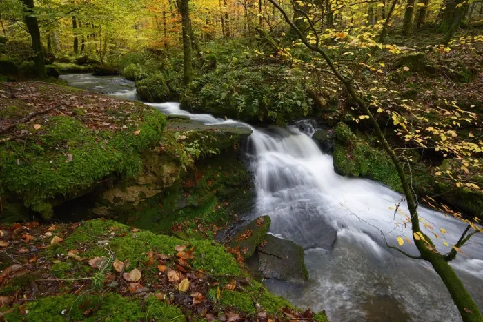 Framed Print : Small stream in forest, Vosges mountains, France, November 2014 Framed Print : Small stream in forest, Vosges mountains, France, November 2014