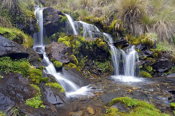 Small waterfall with abundant mosses, High Andes, Bolivia, October 2013