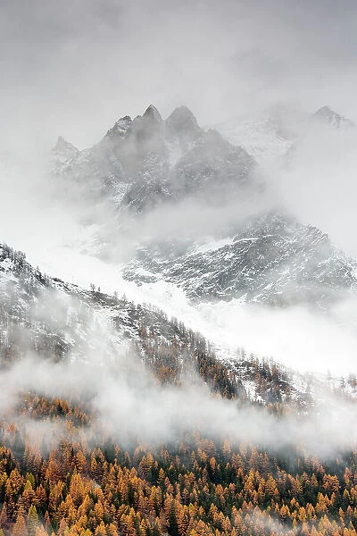 Snow covered mountain sides in Valsavarenche Valley with European larch (Larix decidua) trees in autumn, Gran Paradiso National Parks, Italy, November 2014. Highly commended in the Portfolio category of the Terre Sauvage Nature Images Awards 2017