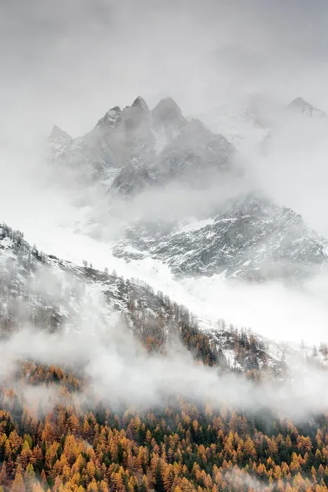 Framed Print : Snow covered mountain sides in Valsavarenche Valley with European larch (Larix decidua) trees in autumn, Gran Paradiso National Parks, Italy, November 2014. Highly commended in the Portfolio category of the Terre Sauvage Nature Images Awards 2017 Framed Print : Snow covered mountain sides in Valsavarenche Valley with European larch (Larix decidua) trees in autumn, Gran Paradiso National Parks, Italy, November 2014. Highly commended in the Portfolio category of the Terre Sauvage Nature Images Awards 2017