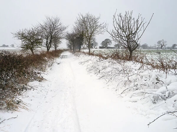 Snow covering a farm track, Gimingham, Norfolk, UK. February, 2021. Seasons sequence - Winter
