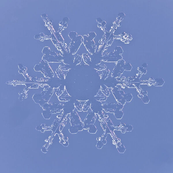 Snowflake magnified under microscope, Lilehammer, Norway