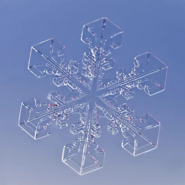 Framed Print : Snowflake magnified under microscope, Lilehammer, Norway Framed Print : Snowflake magnified under microscope, Lilehammer, Norway