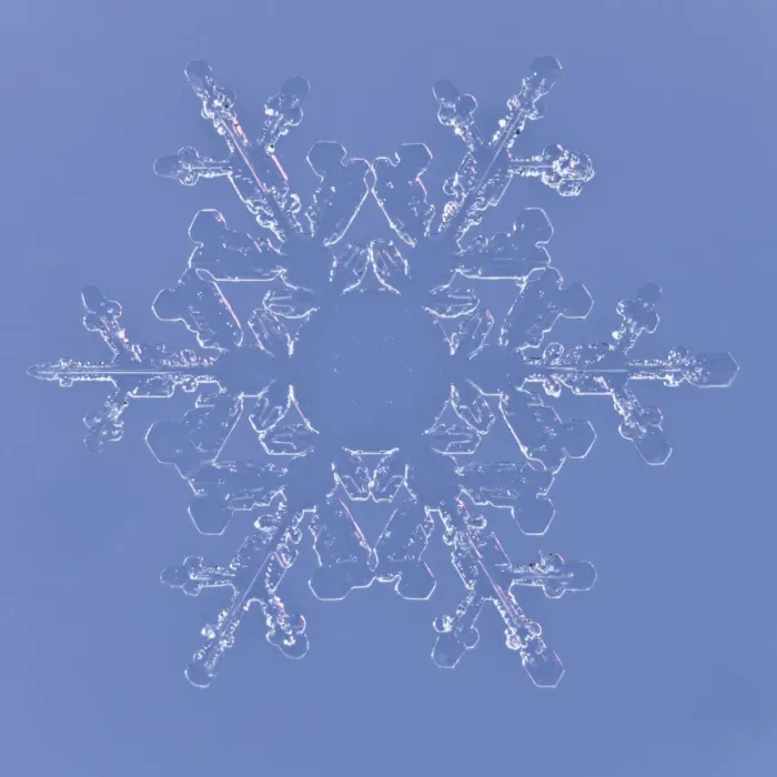 Framed Print : Snowflake magnified under microscope, Lilehammer, Norway